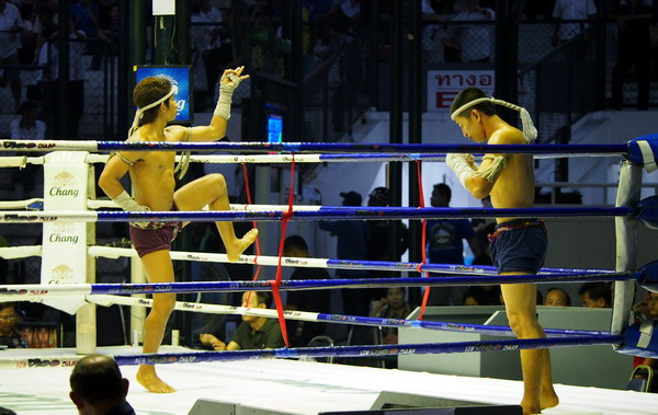 muay thai boxing 