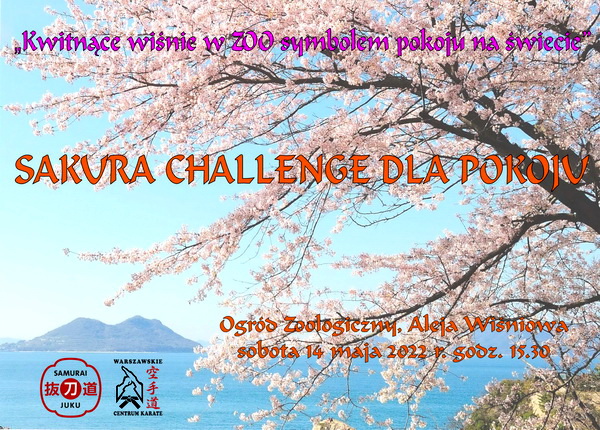 sakura challenge web I